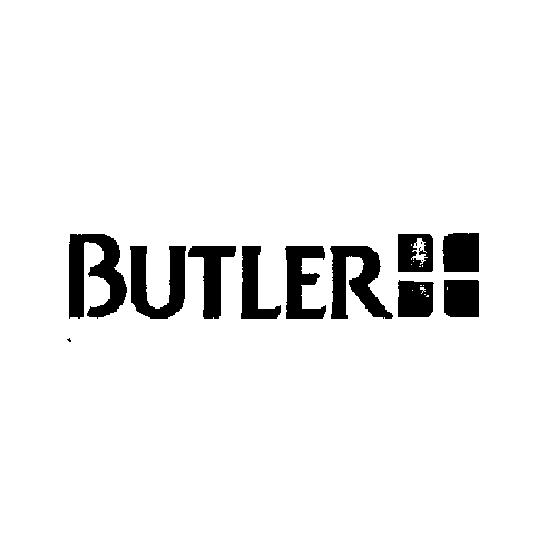 Image of Butler Spazzolino 472 Microfibre Full M 902215767